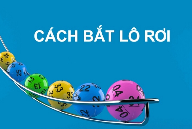 Bắt lô rơi hiệu quả
